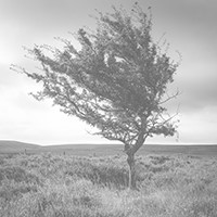 Photo for notice of Brian William CRANE