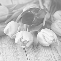 Photo for notice of Captain David KAIN