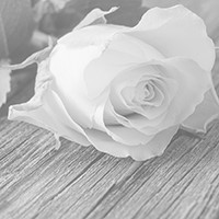 Photo for notice of Iestyn JAMES