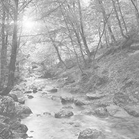 Photo for notice of Geoffrey John COISH