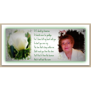 Photo of MARY MURPHY