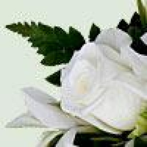 Notice Gallery for RUSSELL WHITELOCK