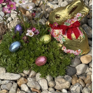 Notice Gallery for John CORK