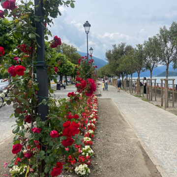 Photo for notice Norma COLEMAN