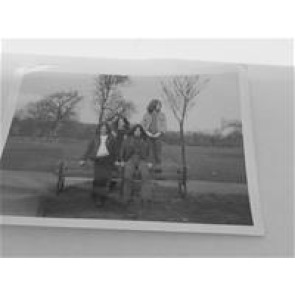 Notice Gallery for BRUMBY