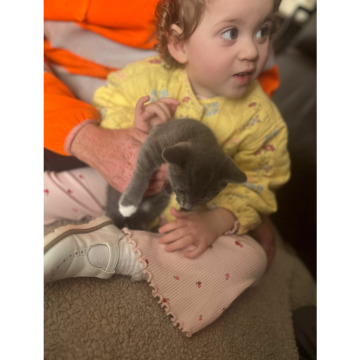 Notice Gallery for Daniel Edward Ronald BIRDSEY