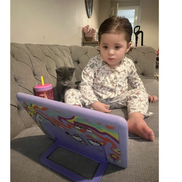 Notice Gallery for Daniel Edward Ronald BIRDSEY