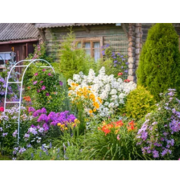 Tribute photo for MALCOLM ROWLANDS -