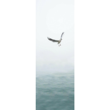 Notice Gallery for Luciane MURFITT