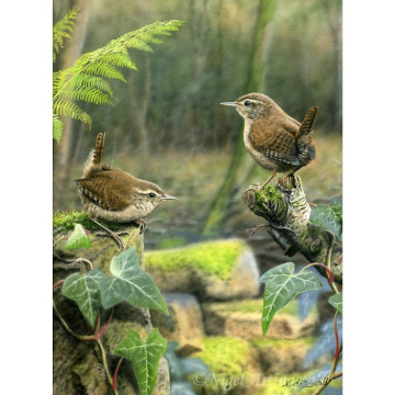 Notice Gallery for Luciane MURFITT