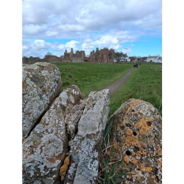 Notice Gallery for Chris HOLMES