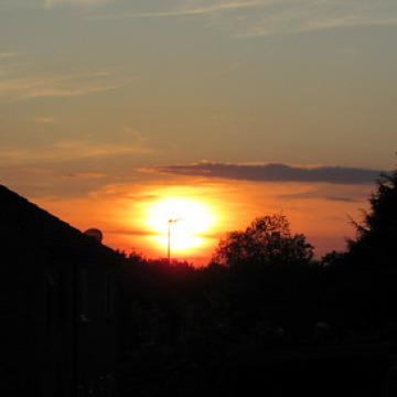 Photo of Leonard THORNTON