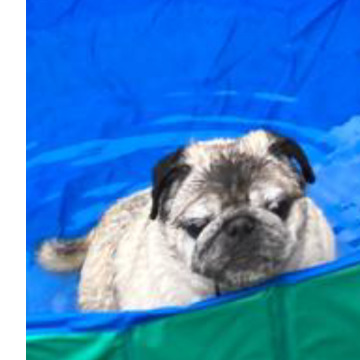 Notice Gallery for Lola THOMPSON