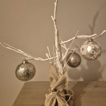 Notice Gallery for Dilys Mary MORGAN