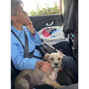 Notice Gallery for Maureen Isabel NOBLE