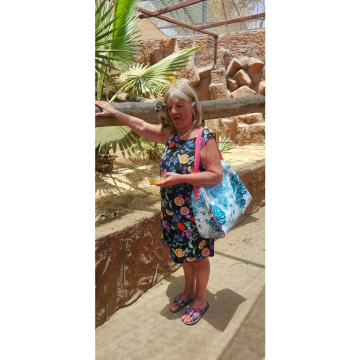 Notice Gallery for Maureen DONNACHIE