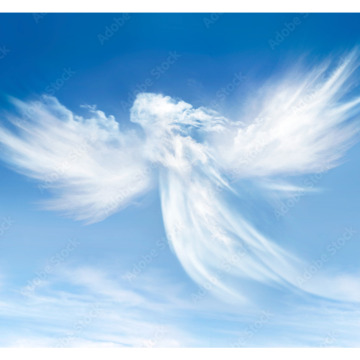 Notice Gallery for Debbie SITCH