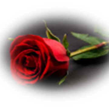 Photo of Caroline BLACKSTOCK