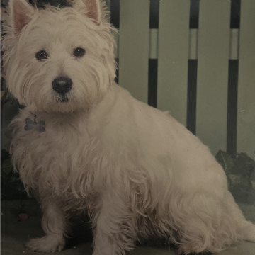 Notice Gallery for Wayne FEELEY