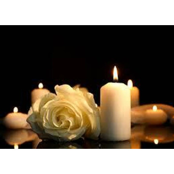 Photo of Velia STEVENS