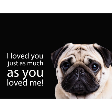 Notice Gallery for Marina HURST