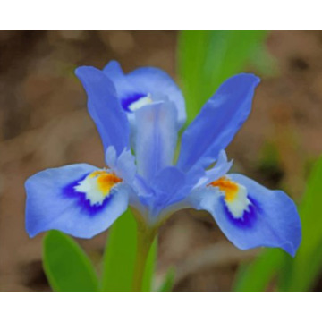 Photo of Joyce FAIRBAIRN