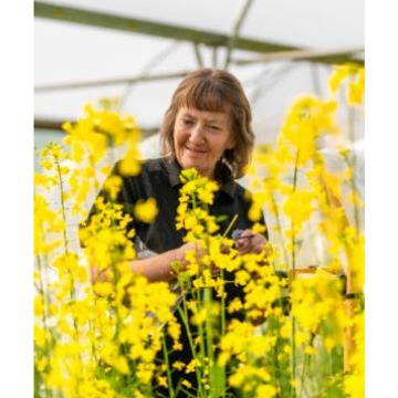 Photo of Tracy ROBBINS