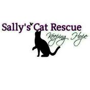 donation charity logo