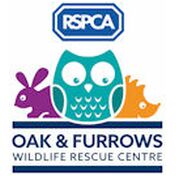 donation charity logo