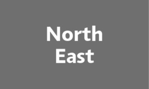 Logo Banner